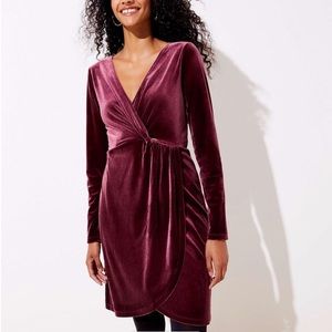NWT Loft purple velvet dress